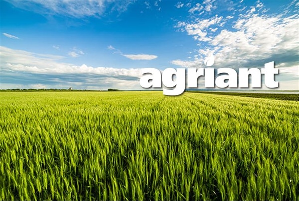 Rassenadvies zomergranen 2026